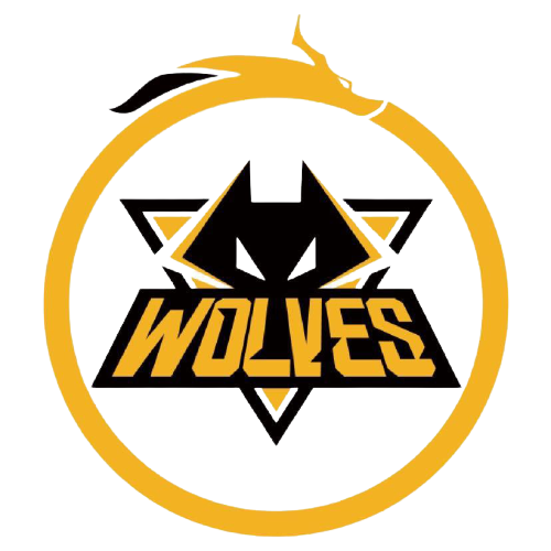 访中表示 访中表示